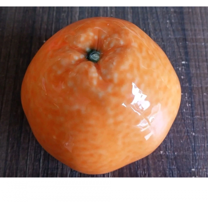 Decorazione in Ceramica Arancia