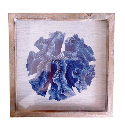 Quadro Stampa Corallo Di Mare su Tela con cornice legno...